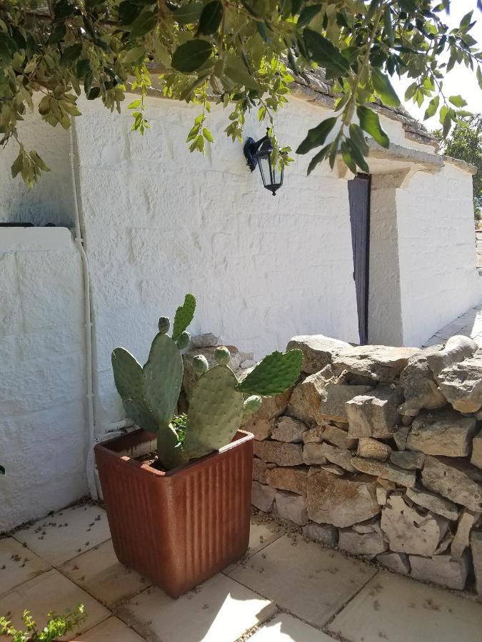 Antico Trullo Immerso Nella Campagna อัลเบโรเบลโล ภายนอก รูปภาพ